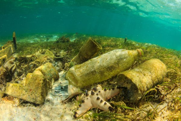 Plastic bottles littering the sea bed