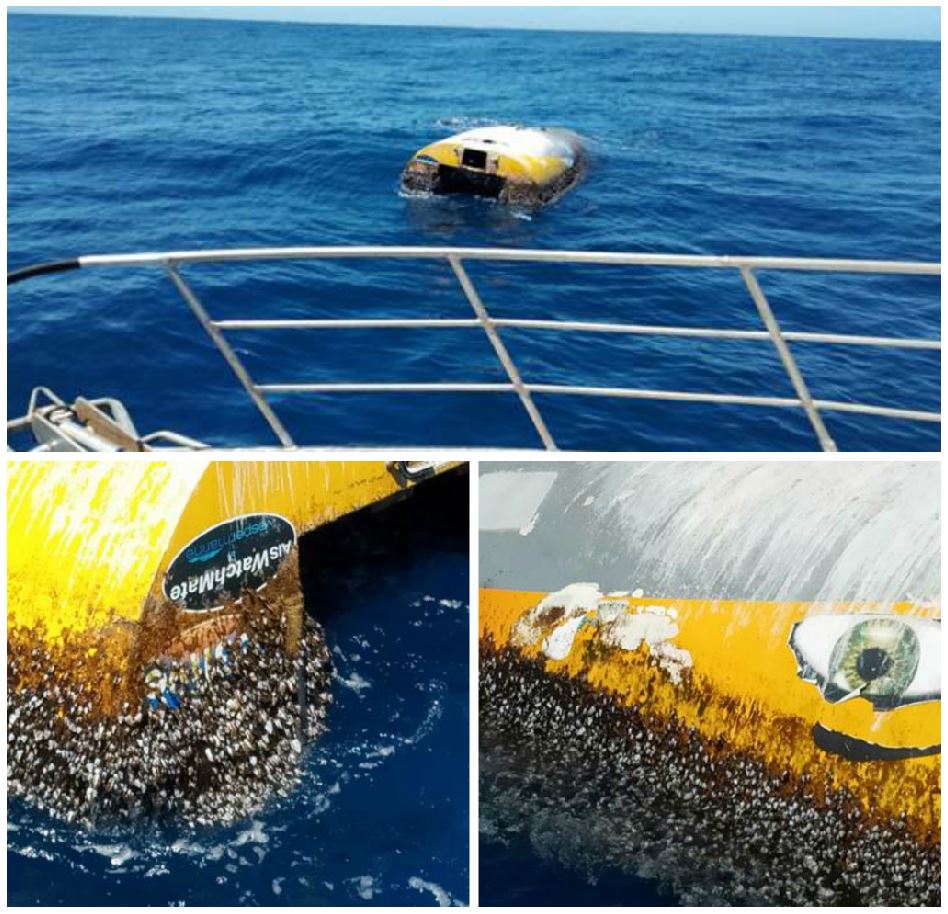 yacht wild eyes found capsized in Australia